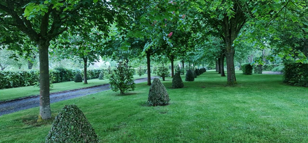 فندق Le Manoir Des Marronniers Sully  المظهر الخارجي الصورة